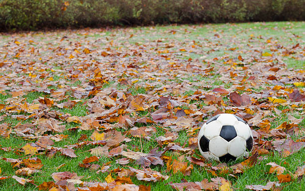 Soccer ball on a leaf filled grass lawn.